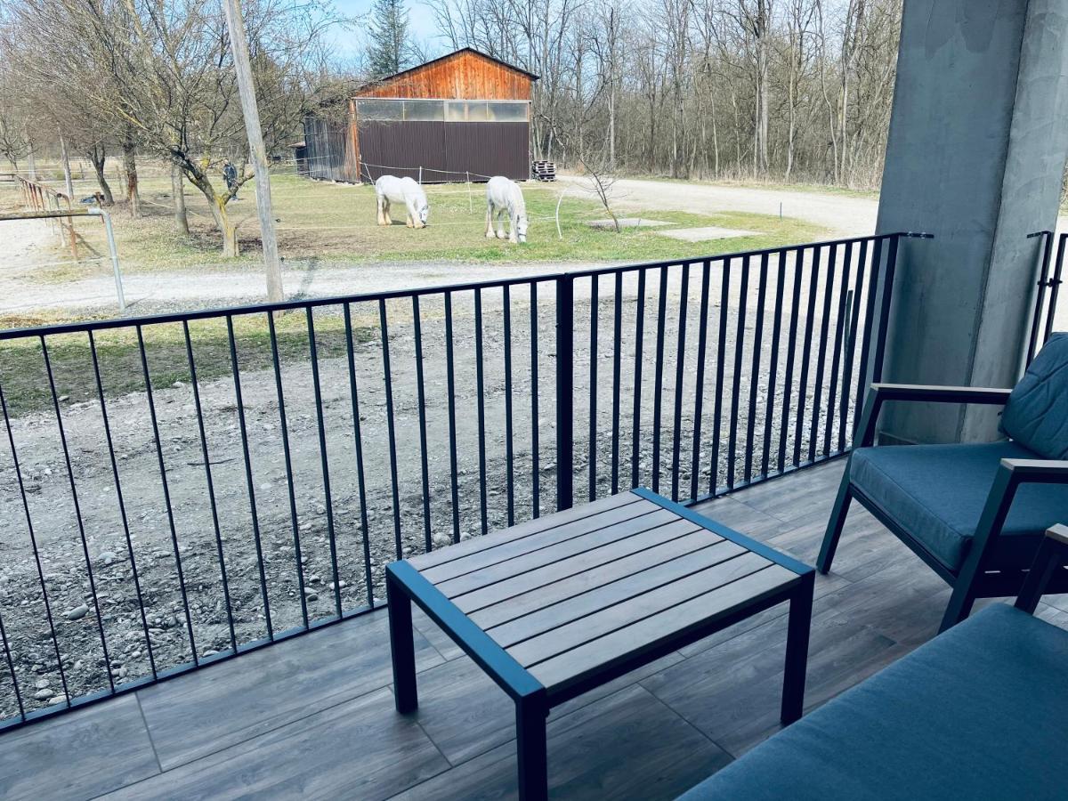 Apartment Country House Zaton Tisina Exteriör bild